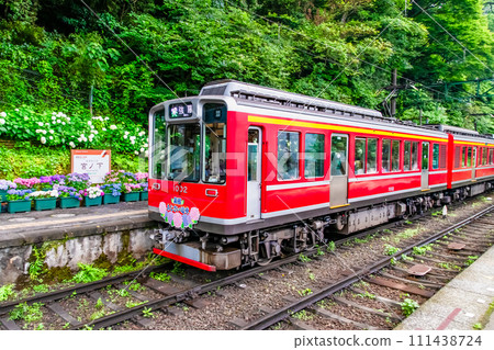 箱根登山鐵道 繡球花列車（宮下站） 111438724