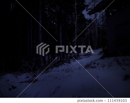 Dim snow-covered mountain path 111439103