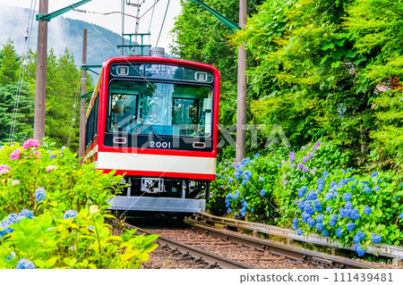 Hakone Tozan Railway Hydrangea Train (near the Sculpture Forest) Hakone Tozan Railway Hydrangea Train (near the Sculpture Forest) 111439481