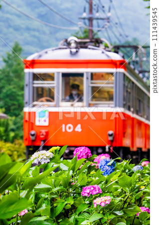 箱根登山鐵道繡球花列車（雕塑林附近） 111439545