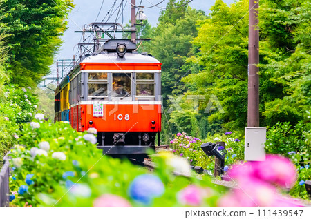 箱根登山鐵道繡球花列車（雕塑林附近） 111439547