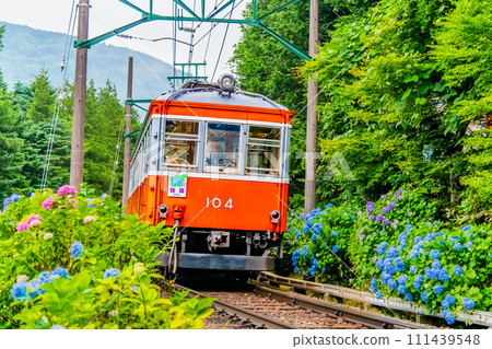 箱根登山鐵道繡球花列車（雕塑林附近） 111439548