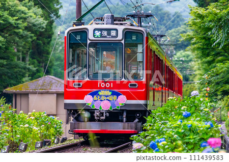 箱根登山鐵道繡球花列車(雕塑林附近) 箱根登山鐵道繡球花列車(雕塑林附近) 111439583