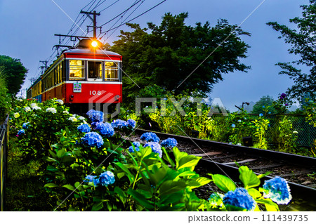 Hakone Tozan Railway Hydrangea Train (near the Sculpture Forest) Hakone Tozan Railway Hydrangea Train (near the Sculpture Forest) 111439735