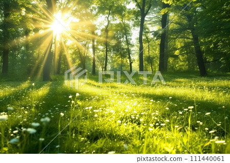 Sunlight in the green forest, spring time. generative ai. Sunlight in the green forest, spring time. generative ai. 111440061