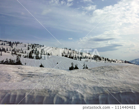 在日本立山黑部旅行時在遊覽車裡拍攝窗外的雪景 111440481