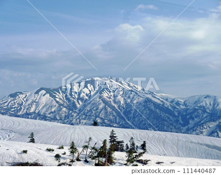 在日本立山黑部旅行時在遊覽車裡拍攝窗外的雪景 111440487