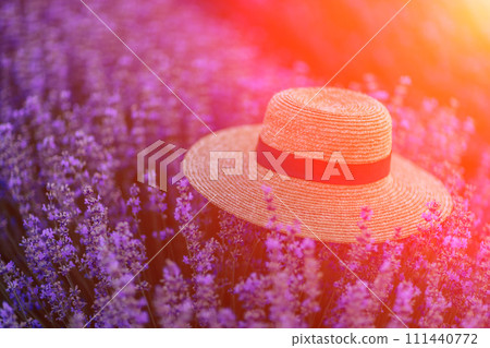 Straw hat purple lavander flower field. Vibrant flower field. Illustrating hat among vivid flowers. 111440772