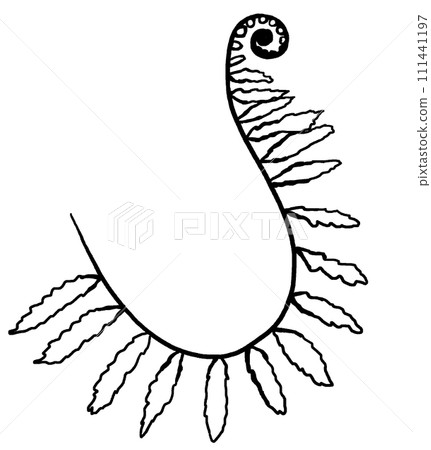 Hand drawn fern leaves, black outlines, isolated illustration, wedding stationery element Hand drawn fern leaves, black outlines, isolated illustration, wedding stationery element 111441197