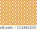 the geometric pattern with lines 111441215