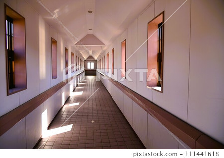 Kitakami Line Hottoyuda Station 111441618