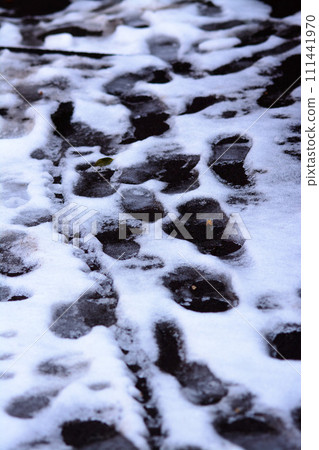 町田市芹谷公園殘雪景觀 町田市芹谷公園殘雪景觀 111441970