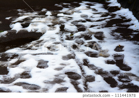 Scenery of remaining snow at Serigaya Park in Machida City Scenery of remaining snow at Serigaya Park in Machida City 111441978