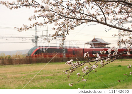 近鐵奈良線「特急一鳥號」經過櫻花盛開的世界遺產平城宮遺址朱雀門 111442690