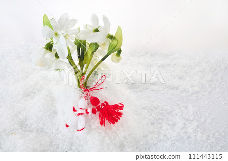 Snowdrops flowers with a red and white martenitsa on a snow background. Martisor and Baba Marta. 111443115