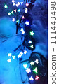 Midwinter flower garden 111443498