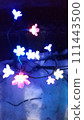Snow flower 111443500