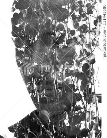 A black and white double exposure male portrait combined with a foliage photo A black and white double exposure male portrait combined with a foliage photo 111443586