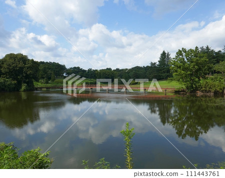 Kushihiki Swamp (Higashimatsuyama City, Saitama Prefecture) 111443761