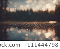 sparkling landscape image 111444798