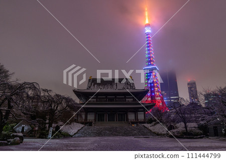 [Tokyo] Snowy Tokyo Tower and Zojoji Temple - Heavy snow in Tokyo on February 5, 2024 111444799