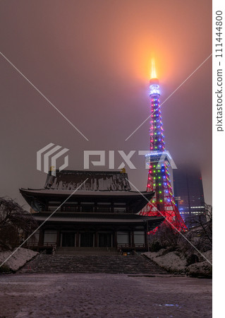[Tokyo] Snowy Tokyo Tower and Zojoji Temple - Heavy snow in Tokyo on February 5, 2024 111444800