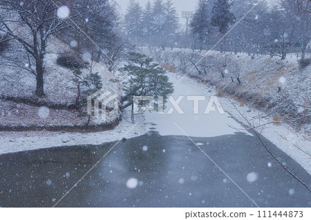 上田城跡公園的雪護城河 上田城跡公園的雪護城河 111444873