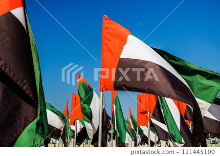 Flags of the United Arab Emirates against the sky 111445100