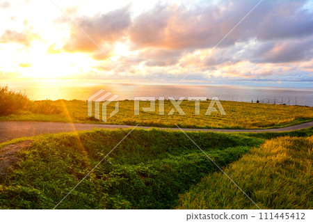 輪島面對日本海的稻田 111445412