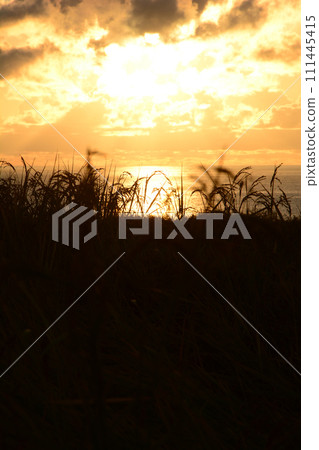 輪島面對日本海的稻田 輪島面對日本海的稻田 111445415