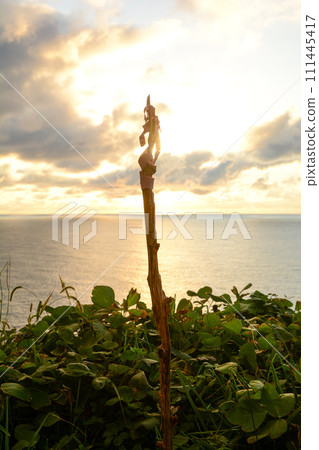 Rice fields facing the Sea of Japan in Wajima 111445417
