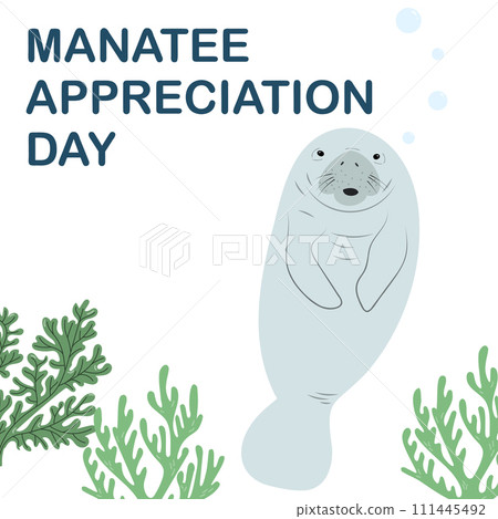 Manatee Apreciation Day Vector Illustration. Manatee Apreciation Day Vector Illustration. 111445492