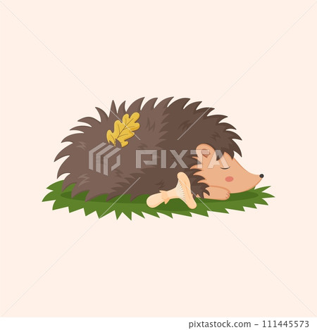 Cute hedgehog. Sleeping forest animal. Mushroom on grass. Funny porcupine character. Childish print or poster for nursery and textile decor. Creature with needles. Cartoon isolated vector illustration Cute hedgehog. Sleeping forest animal. Mushroom on grass. Funny porcupine character. Childish print or poster for nursery and textile decor. Creature with needles. Cartoon isolated vector illustration 111445573