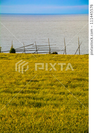 輪島面對日本海的稻田 輪島面對日本海的稻田 111445576