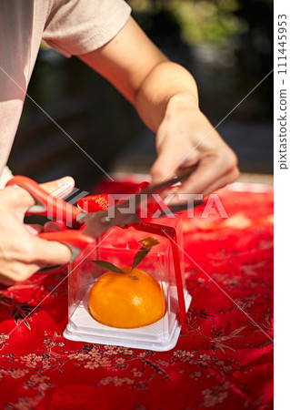 Orange Cake 111445953