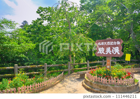 東北/嚴美溪/天光橋地名展示架,岩手縣嚴美溪/一關市的旅遊形象(1) 東北/嚴美溪/天光橋地名展示架,岩手縣嚴美溪/一關市的旅遊形象(1) 111446211