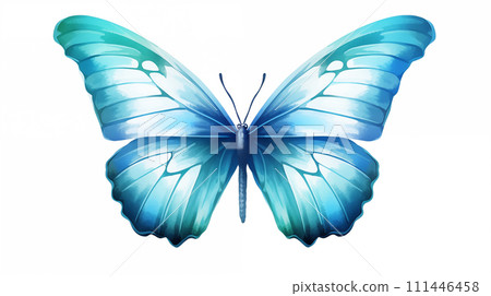Hand drawn beautiful butterfly illustration Hand drawn beautiful butterfly illustration 111446458