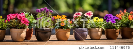 Beautiful colorful variety of spring and summer flowers in pots on the patio, banner Beautiful colorful variety of spring and summer flowers in pots on the patio, banner 111446976