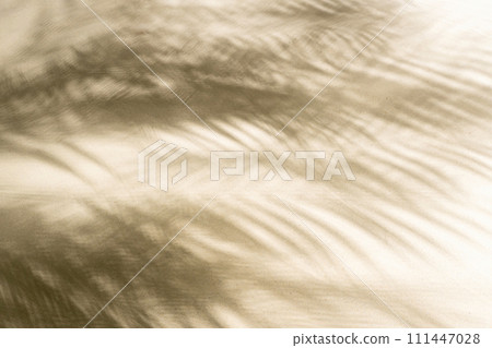 The shadow of a palm tree branch on the sand of a sandy tropical beach. Background, copy space, travel, summer concept. The shadow of a palm tree branch on the sand of a sandy tropical beach. Background, copy space, travel, summer concept. 111447028