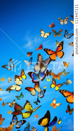 Flying colorful butterflies 111447111