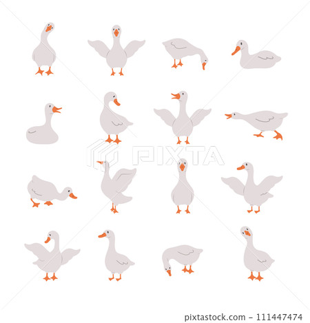 Set of cute gooses. Domestic and wild ducks on white background. Agriculture birds on farm. Rural wildlife. Funny hand drawn print. Vector illustration in flat cartoon style 111447474