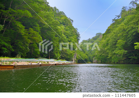 Tohoku, Geibikei, Boat rafting, Image of a boat sailing along a riverbank lined with tea ceremony boats and winter kotatsu boats, Ichinoseki City, Iwate Prefecture (2) 111447605