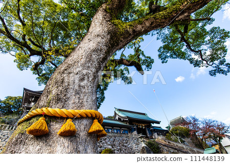 Suwa Shrine [Nagasaki City] 111448139