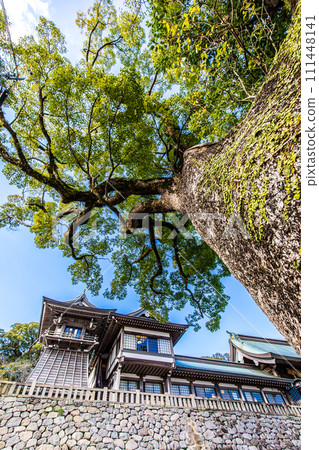 Su訪神社[長崎市] 111448141
