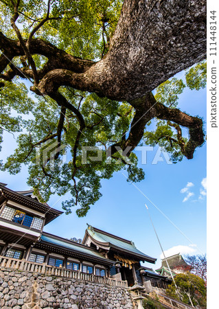 Su訪神社[長崎市] 111448144