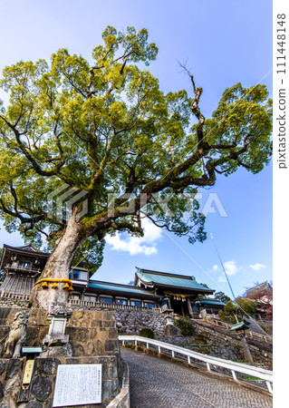 Suwa Shrine [Nagasaki City] 111448148