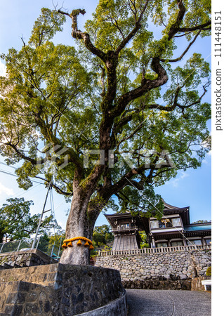 Su訪神社[長崎市] 111448151