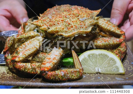 Snow crab served at a restaurant Snow crab served at a restaurant 111448308