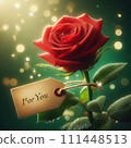 red rose on a branch of a red rose 111448513