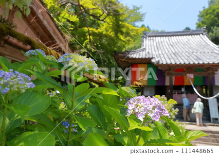 A temple famous for hydrangeas (Hydrangea Temple, Sankoji Temple, Yamagata City, Gifu Prefecture) A temple famous for hydrangeas (Hydrangea Temple, Sankoji Temple, Yamagata City, Gifu Prefecture) 111448665
